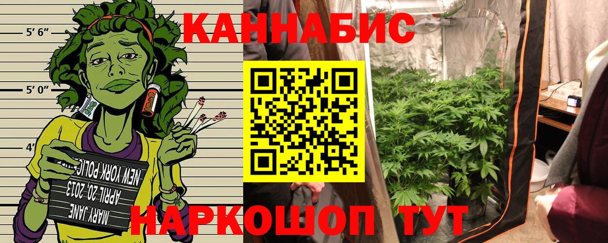 Конопля конопля  Канабис планчик  Вход с VPN  Миллерово  Шишки марихуана Ganja 